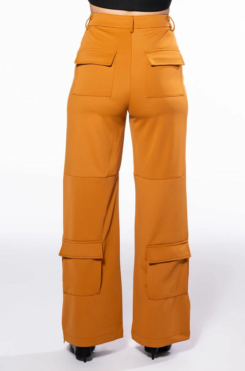 ELEVATED CARGO PANTS IN RUST 5 ELEVATED CARGO PANTS IN RUST - Image 5