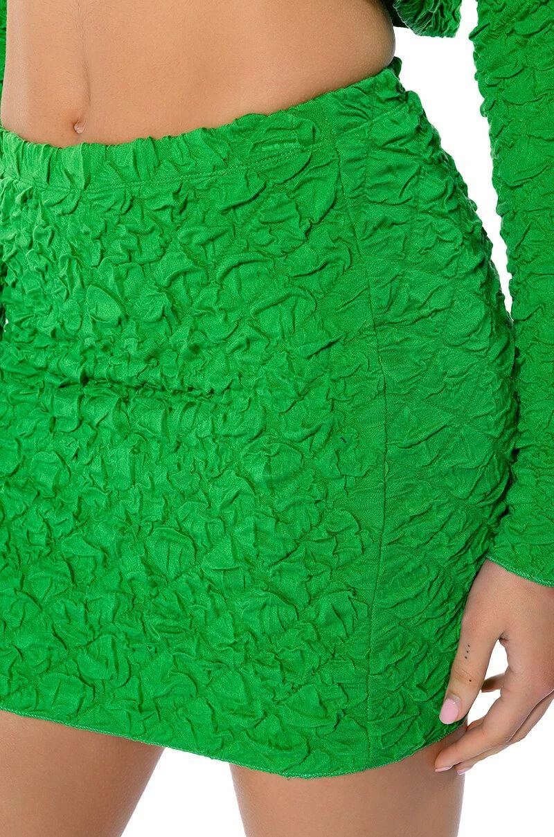 HIGHLIGHT OF YOUR DAY TEXTURED MINI SKIRT 9 HIGHLIGHT OF YOUR DAY TEXTURED MINI SKIRT - Image 9