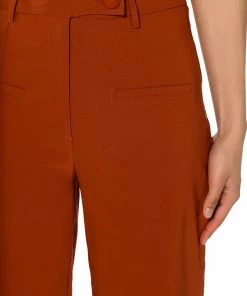 MOST LIKELY TO DREAM BIG HIGH WAISTED PANTS -FINESSE-shop most likely to dream big high waisted pants rust 8 8