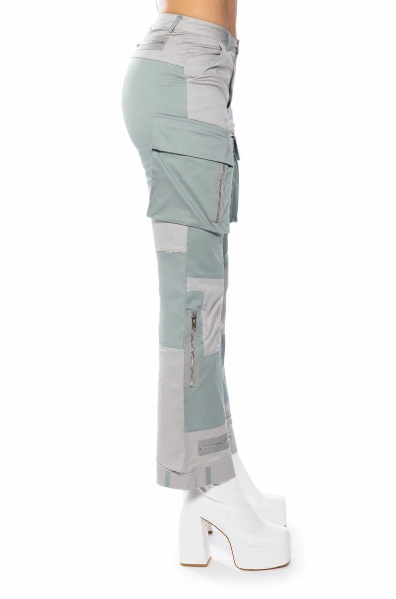 WILD ONES COLORBLOCK CARGO PANT 6 WILD ONES COLORBLOCK CARGO PANT - Image 6